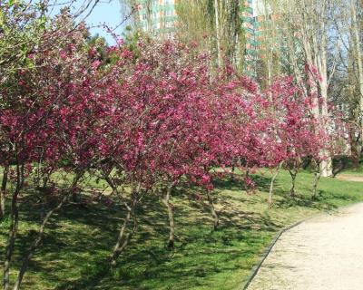 Прикрепленное изображение: sn7.jpg